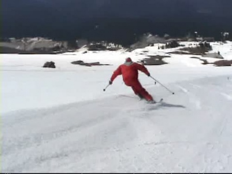 Skiing the Brushies