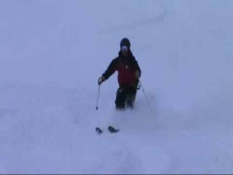 Bear Valley Powder