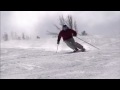 Free skiing development