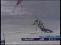 Ted Ligety / GS